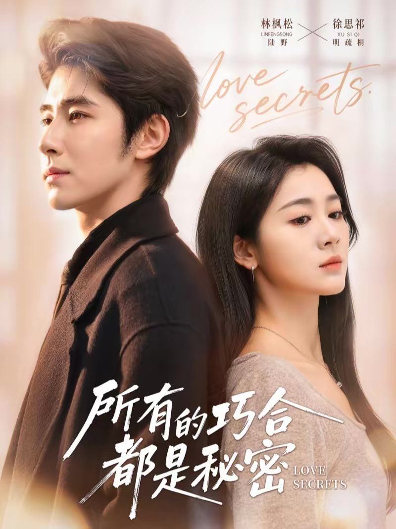 所有的巧合都是秘密（陆总夫人她只想离婚）(全集)