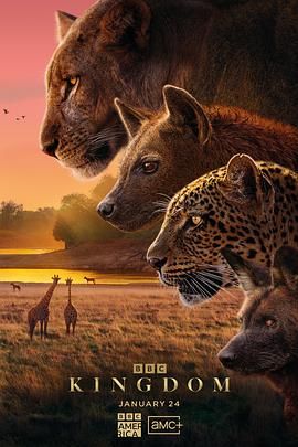 动物王国2025(全集)